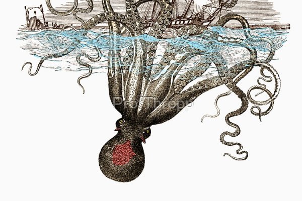 Kraken ссылка актуальная москва