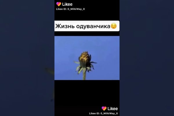 Кракен через браузер